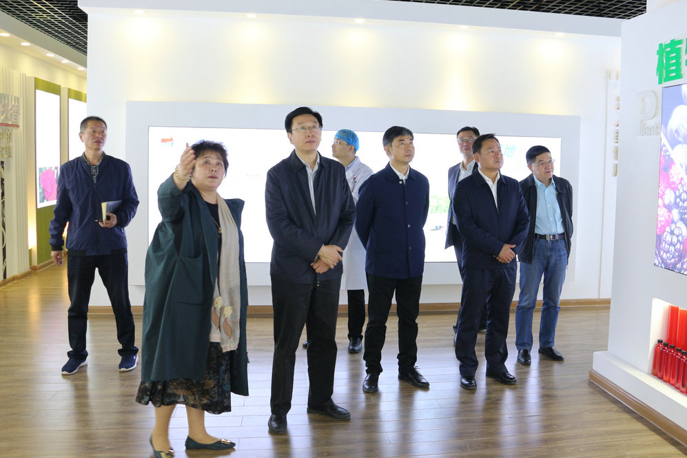 2020年11月2日省政府食安辦副主任，省市場監督管理局副局長王建防到公司調研指導工作.JPG